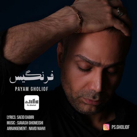 دانلود آهنگ فرنگیس از پیام قلی اف