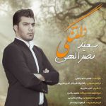 دانلود آهنگ دلتنگی از سعید نصرالهی