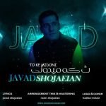 دانلود آهنگ تو که میدونی از جواد شجاعیان