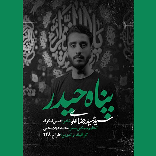دانلود آهنگ سید حمیدرضا علوی نماهنگ پناه حیدر