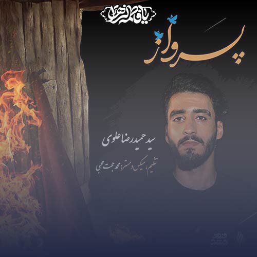 دانلود آهنگ سید حمیدرضا علوی نماهنگ پرواز