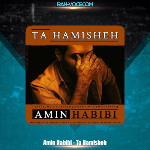 دانلود آهنگ امین حبیبی تا همیشه دانلود آهنگ امین حبیبی تا همیشه