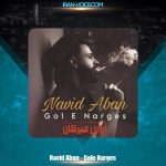 دانلود آهنگ نوید آبان گل نرگس دانلود آهنگ نوید آبان گل نرگس