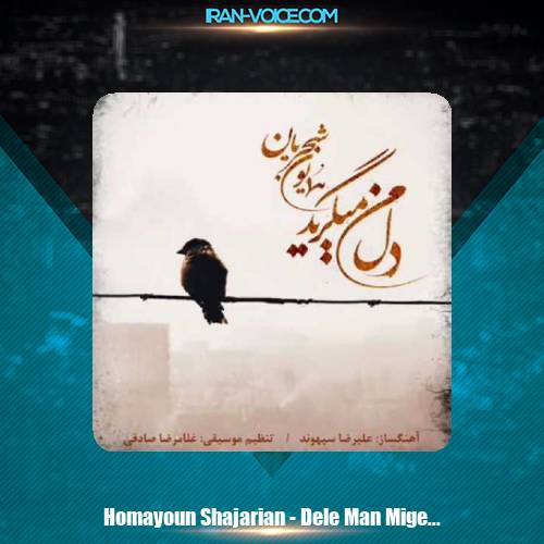 دانلود آهنگ همایون شجریان دل من میگرید دانلود آهنگ همایون شجریان دل من میگرید