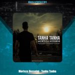 دانلود آهنگ مرتضی حسینی تنها تنها دانلود آهنگ مرتضی حسینی تنها تنها