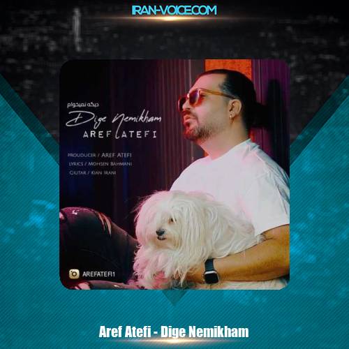 دانلود آهنگ عارف عاطفی دیگه نمیخوام دانلود آهنگ عارف عاطفی دیگه نمیخوام