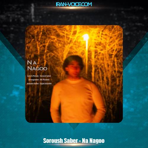 دانلود آهنگ سروش صابر نه نگو دانلود آهنگ سروش صابر نه نگو