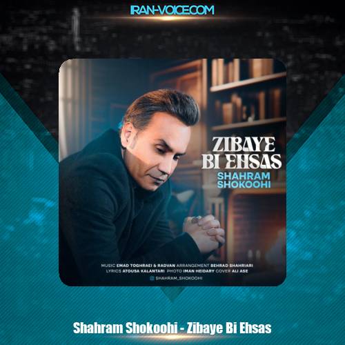 دانلود آهنگ شهرام شکوهی زیبای بی احساس دانلود آهنگ شهرام شکوهی زیبای بی احساس