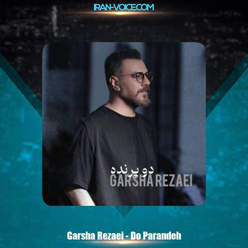 دانلود آهنگ گرشا رضایی دو پرنده دانلود آهنگ گرشا رضایی دو پرنده