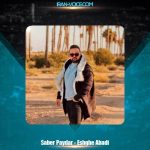 دانلود آهنگ صابر پایدار عشق ابدی