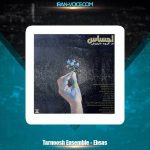 دانلود آهنگ گروه تارنوش احساس