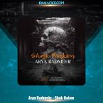 دانلود آهنگ آریا رادمهر شک نکن