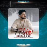 دانلود آهنگ بهزاد پکس فوبیا