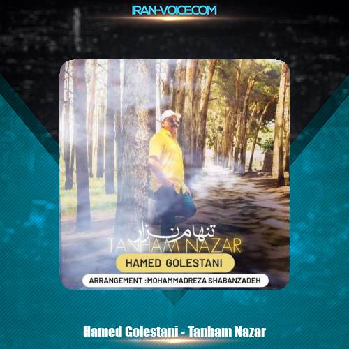 دانلود آهنگ حامد گلستانی تنهام نزار دانلود آهنگ حامد گلستانی تنهام نزار