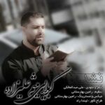 دانلود آهنگ میثم علیزاده نشد