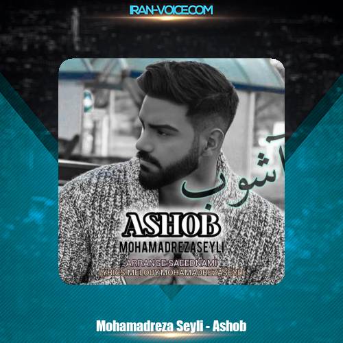 دانلود آهنگ محمدرضا سیلی آشوب دانلود آهنگ محمدرضا سیلی آشوب