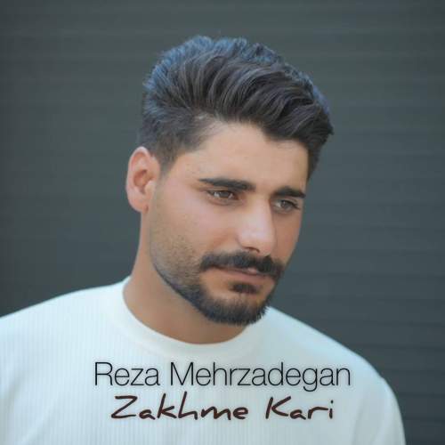 دانلود آهنگ رضا مهرزادگان زخم کاری دانلود آهنگ رضا مهرزادگان زخم کاری