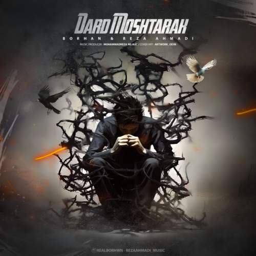 دانلود آهنگ برهان و رضا احمدی درد مشترک