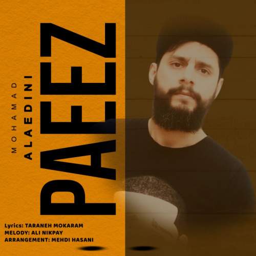 دانلود آهنگ محمد علاءالدینی پاییز دانلود آهنگ محمد علاءالدینی پاییز