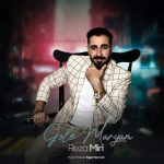 دانلود آهنگ رضا میری گل مریم