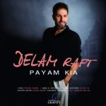 دانلود آهنگ پیام کیا دلم رفت
