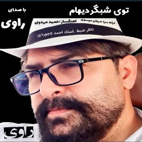 دانلود آهنگ راوی توی شبگردیام