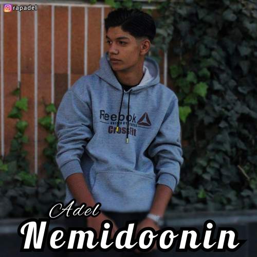 دانلود آهنگ عادل نمیدونین دانلود آهنگ عادل نمیدونین