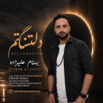 دانلود آهنگ بهنام علیزاده دلتنتگم